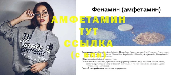 прущие грибы Михайловск