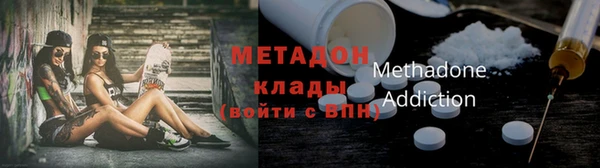прущие грибы Михайловск