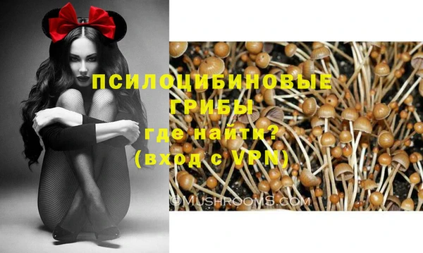 амф Михайловка
