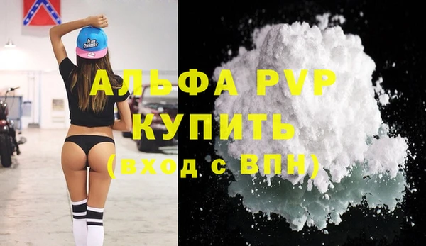 прущие грибы Михайловск