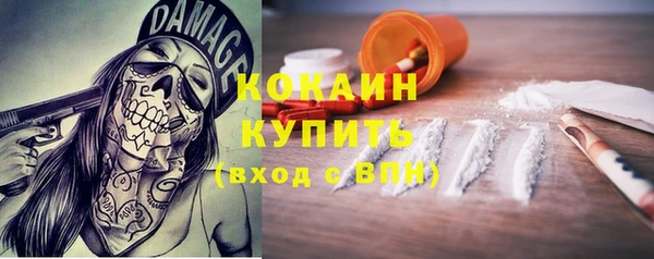прущие грибы Михайловск
