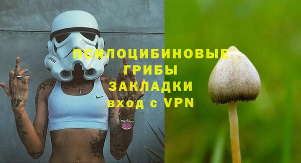 прущие грибы Михайловск