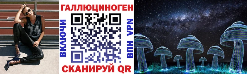 MEGA tor  Цивильск  Псилоцибиновые грибы ЛСД 